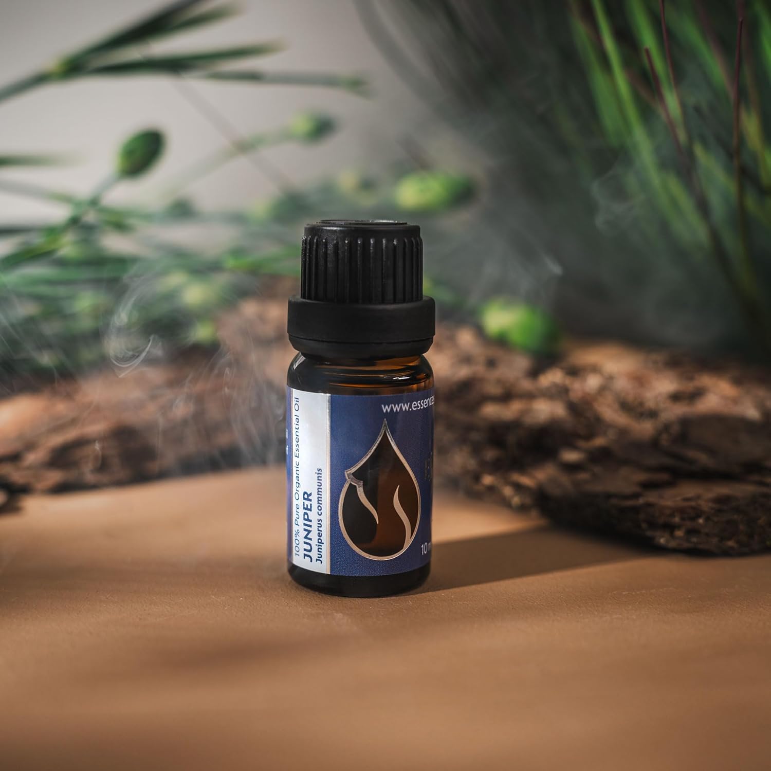 Essences Bulgaria Organic Juniper Essential Oil 1/3 Fl Oz | 10ml | Juniperus communis | 100% Pure and Natural | Undiluted | Therapeutic Grade | Family Owned Farm | Steam-Distilled | Non-GMO | Vegan