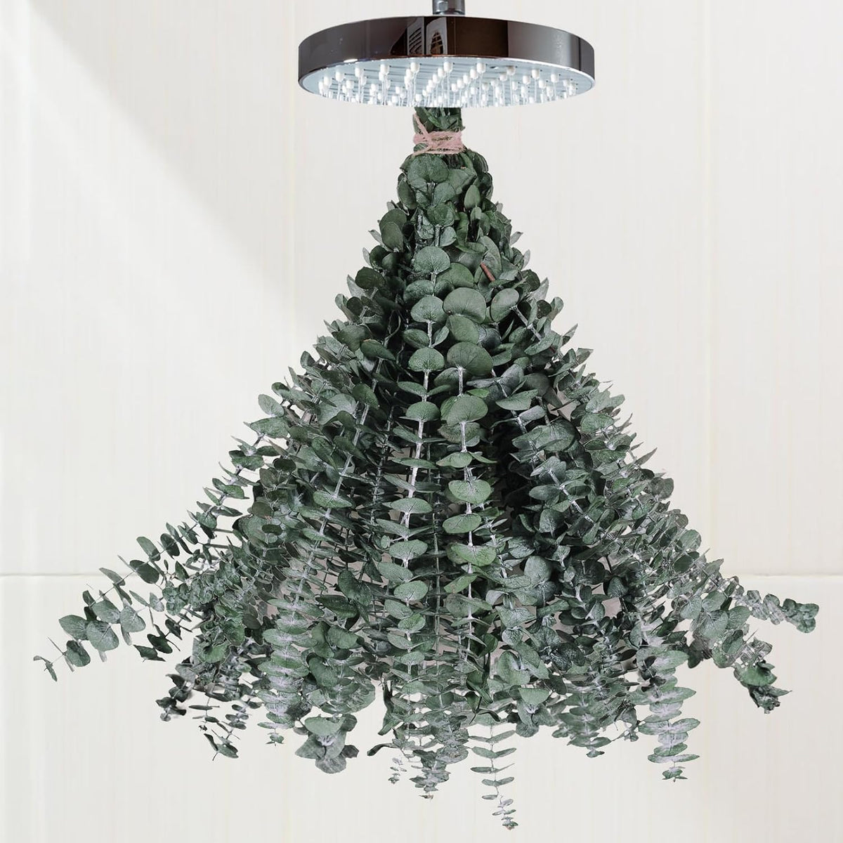 16 Pcs Dried Eucalyptus Stems for Shower Hanging