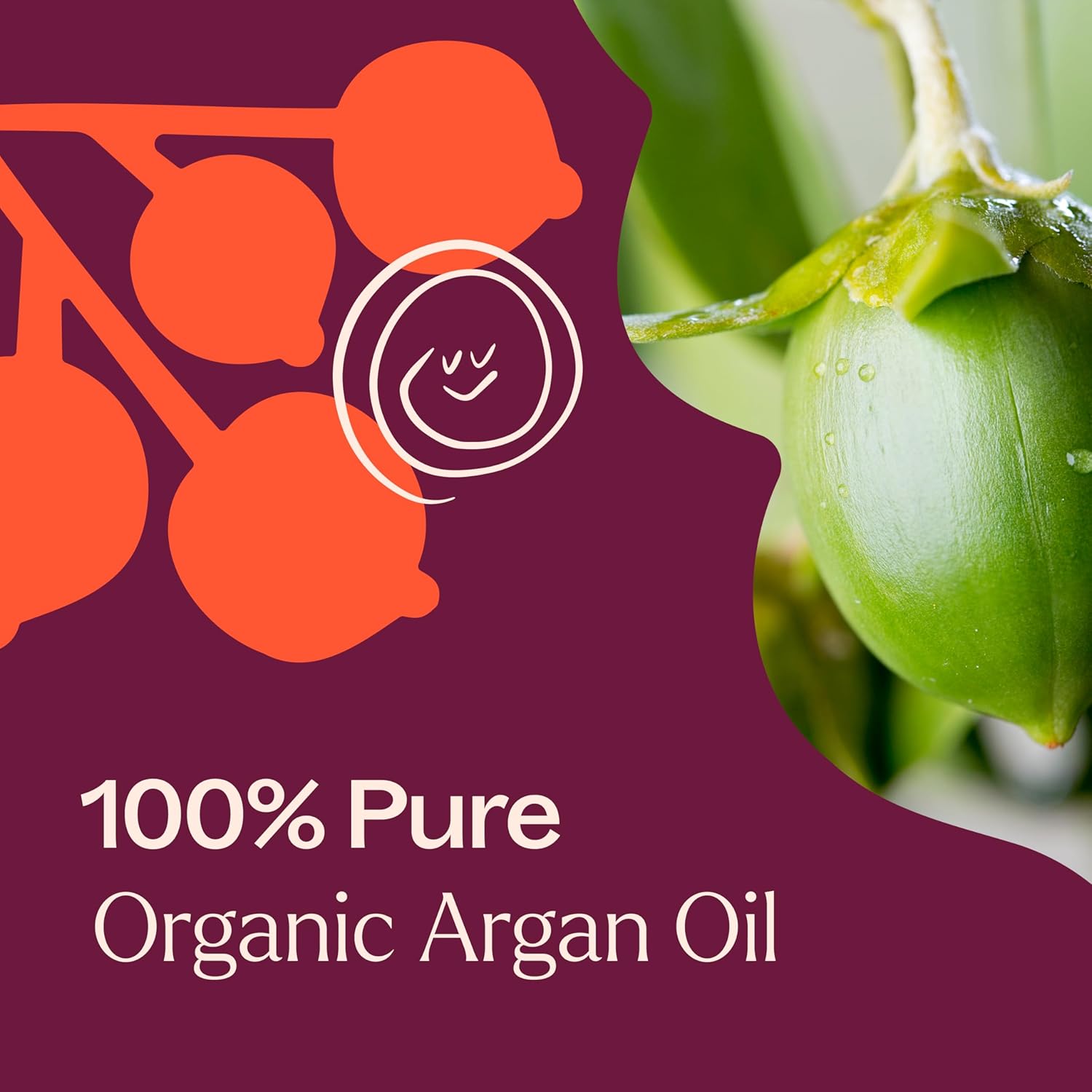 Plant Therapy Organic Argan Oil 16 oz Carrier for Skin and Hair Supports Moisturization Anti Aging and Nails Cold Pressed Pure USDA Certified