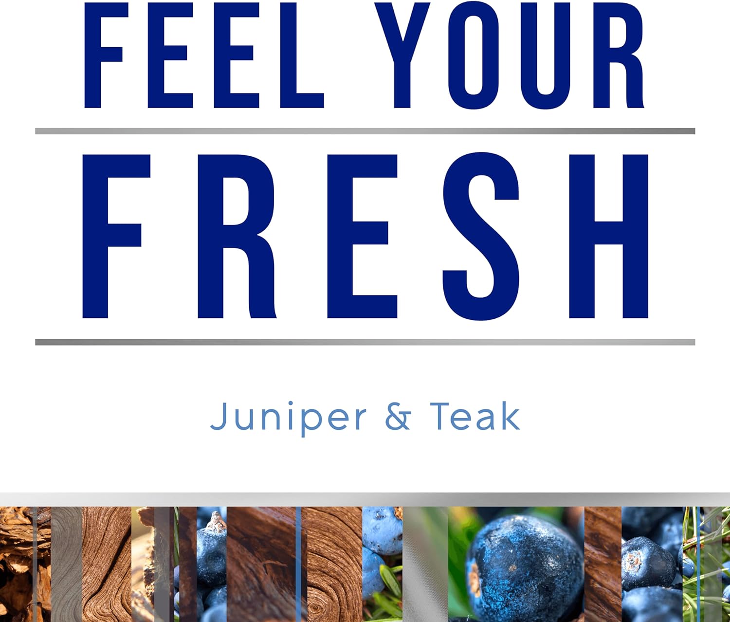 Glade PlugIns Refills Air Freshener, Scented and Essential Oils for Home and Bathroom, Juniper & Teak, Fresh Collection 3.35 Fl Oz, 5 Count