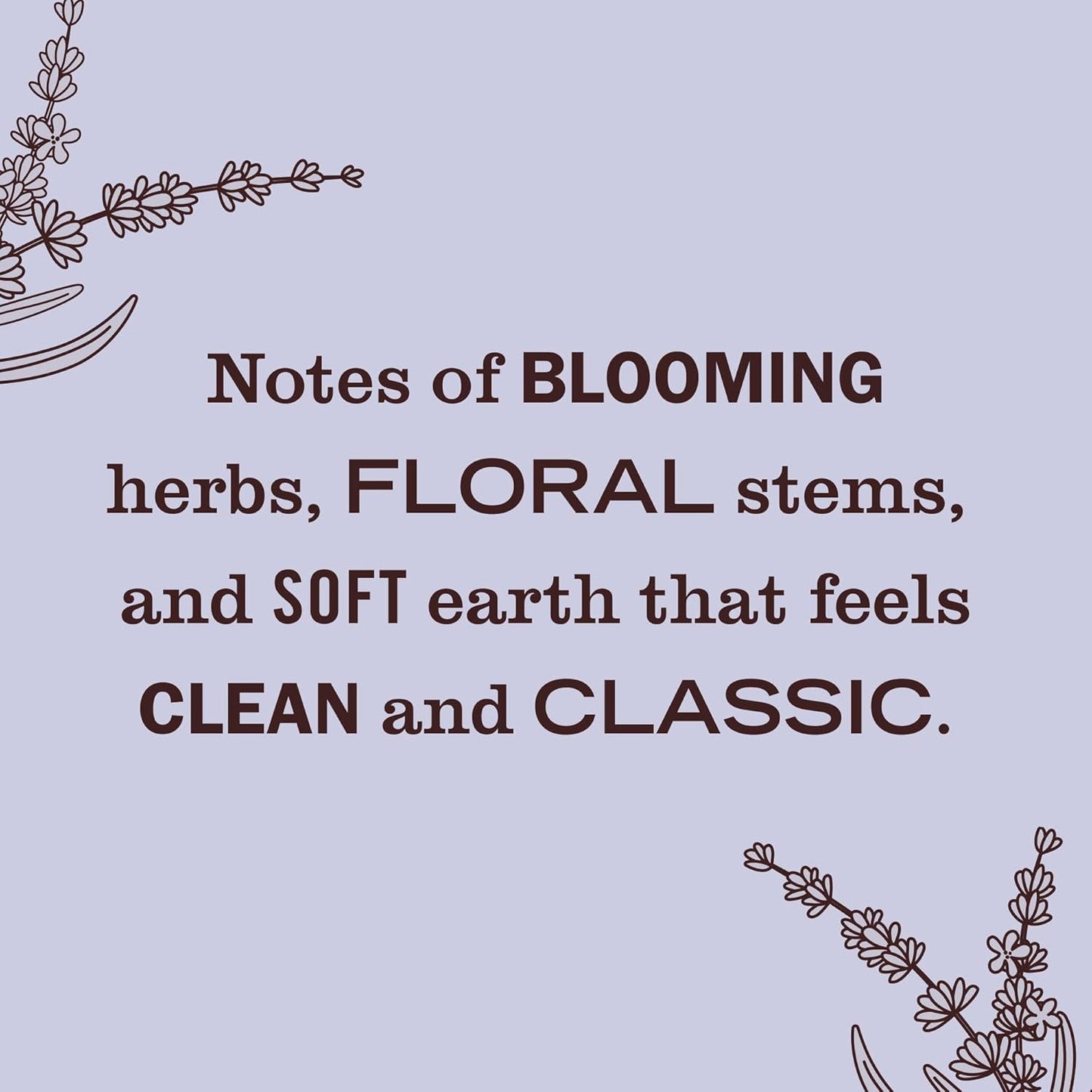 MRS. MEYER'S CLEAN DAY Premium Scented Oil Diffuser Kit, Lavender, 1 warmer and .67 fl oz refill