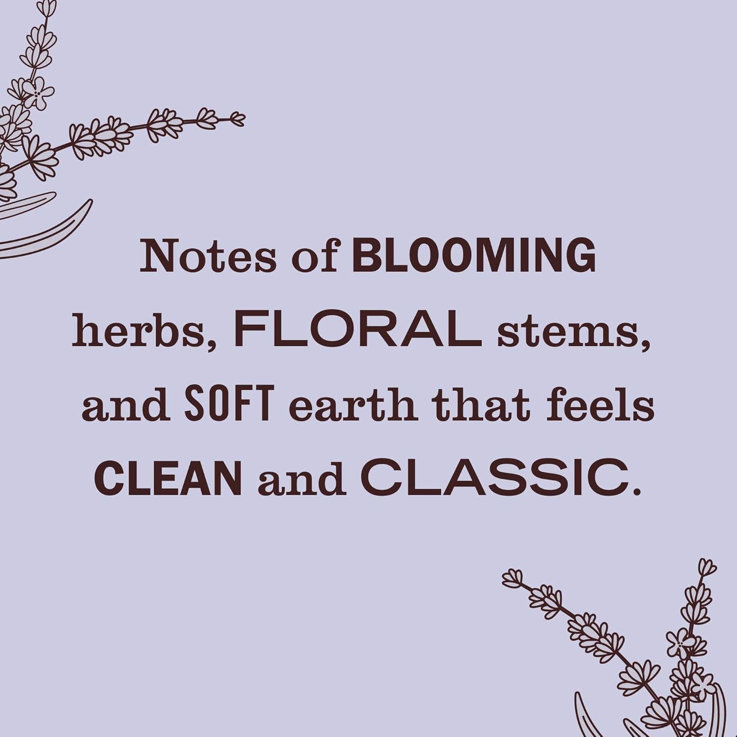 MRS. MEYER'S CLEAN DAY Premium Scented Oil Diffuser Kit, Lavender, 1 warmer and .67 fl oz refill