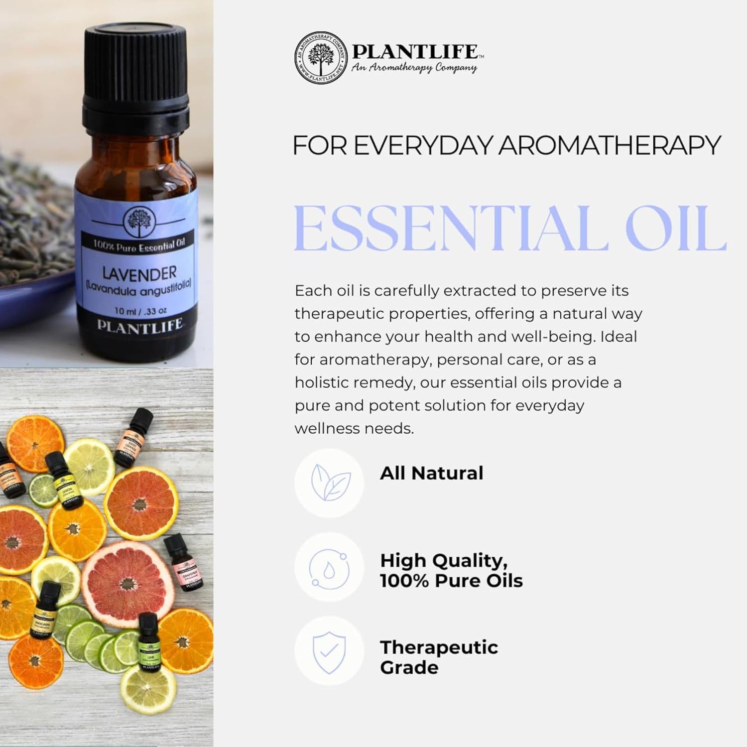 Plantlife Tea Tree 100% Pure Essential Oil 10 Ml
