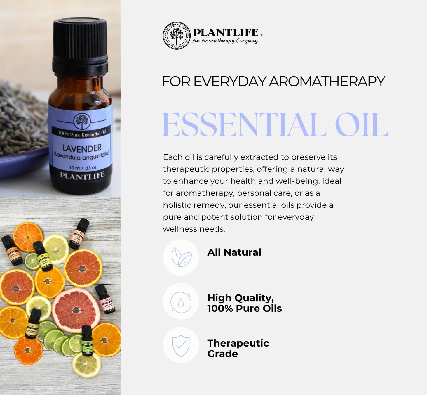 Plantlife Sweet Orange Aromatherapy Essential Oil - Straight from The Plant 100% Pure Therapeutic Grade - No Additives or Filters - 10 ml