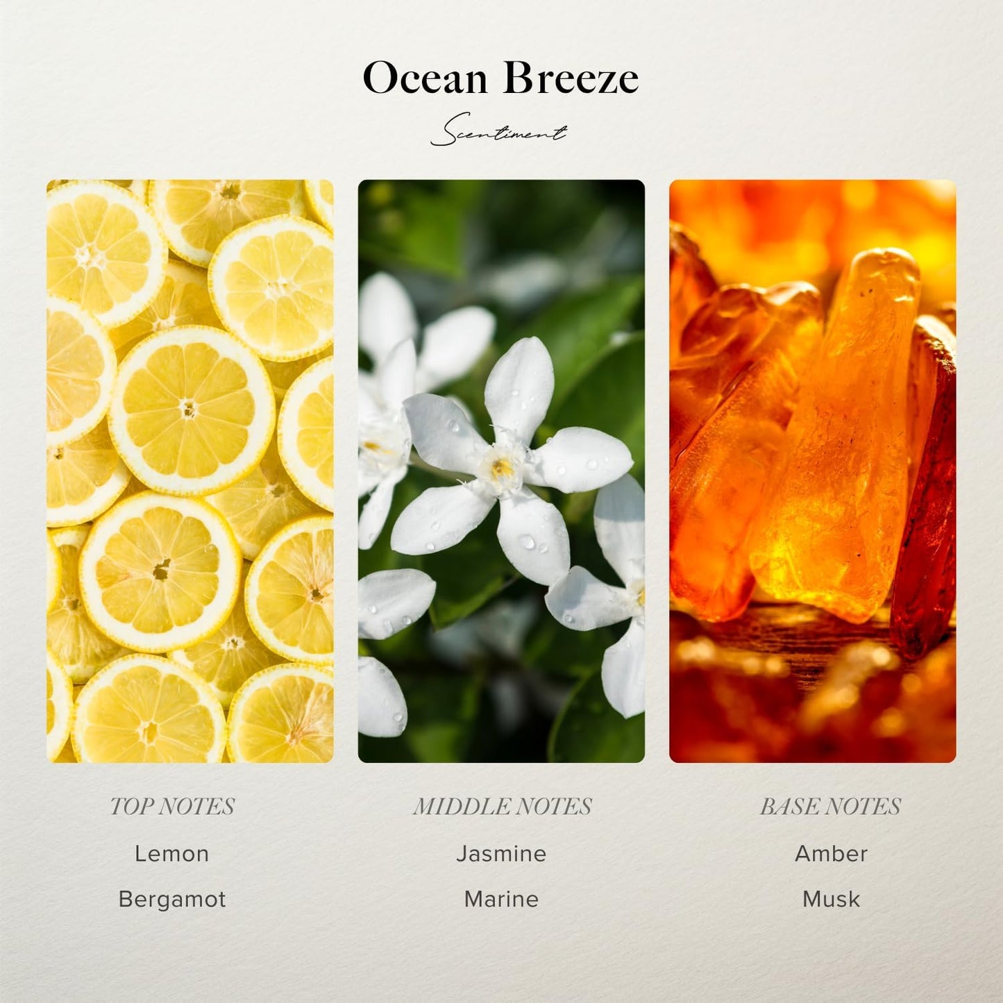 Scentiment Ocean Breeze Diffuser Oil - Premium Hotel Scent with Notes of Bergamot, Lemon, Jasmine with Marine & Amber Home Scent, Hotel Fragrance Oil Diffuser Refill - 0.68 fl oz (20 mL)