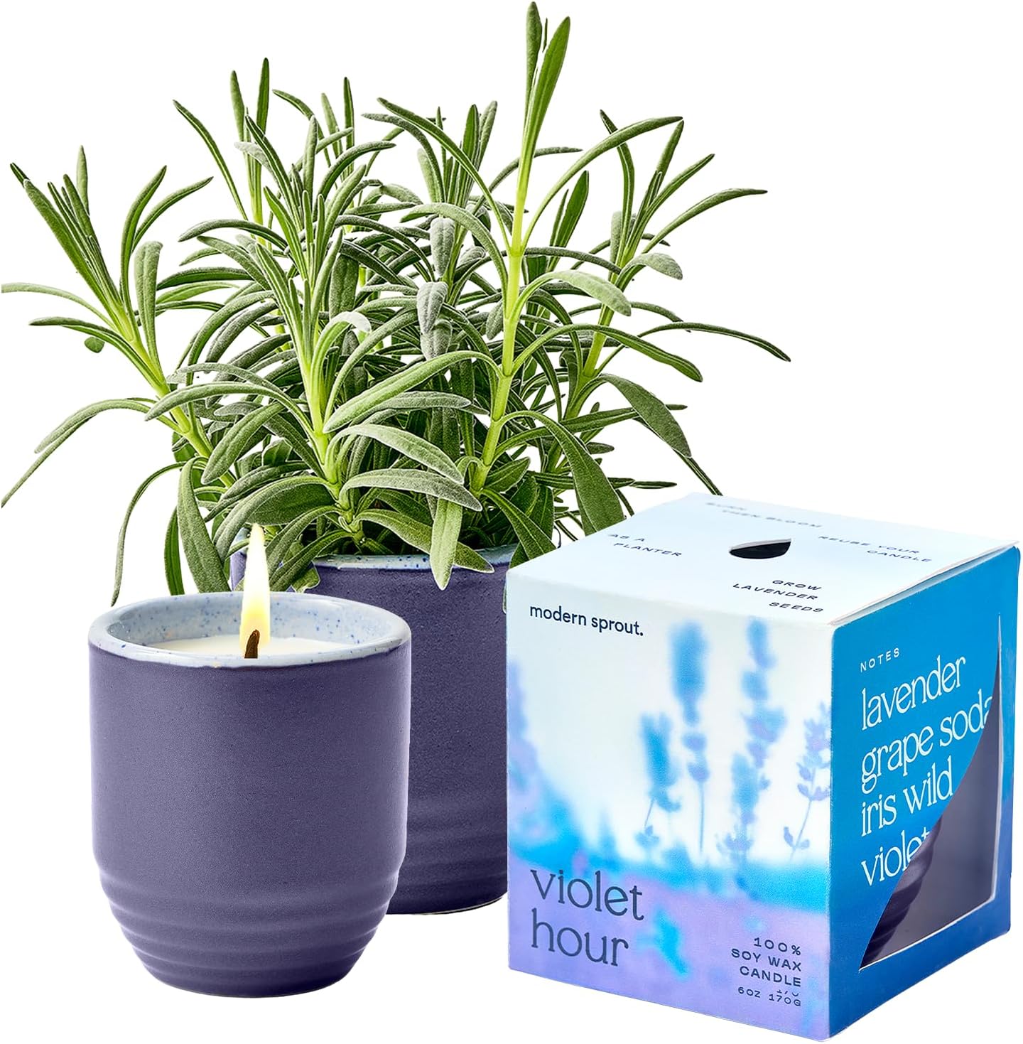 Modern Sprout - 2-in-1 Soy Candle & Planter - Violet Hour (Lavender, Grape Soda, Wild Iris, Violet) 6 Oz Scented Candle w/Lavender Seeds - Ceramic Vessel Dual Purpose Jar - 38-40 Hour Burn