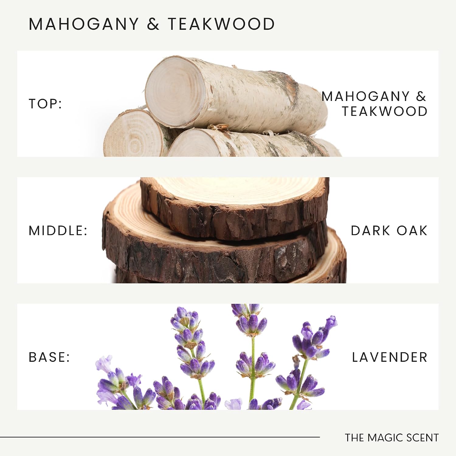 The Magic Scent Mahogany & Teakwood Reed Diffuser for Home - Luxury Scent Diffuser with Premium Fiber Reeds for Lasting Gentle Dispersal - Natural, Toxin-Free Aroma Inspired by Ambercrombie & Fitch