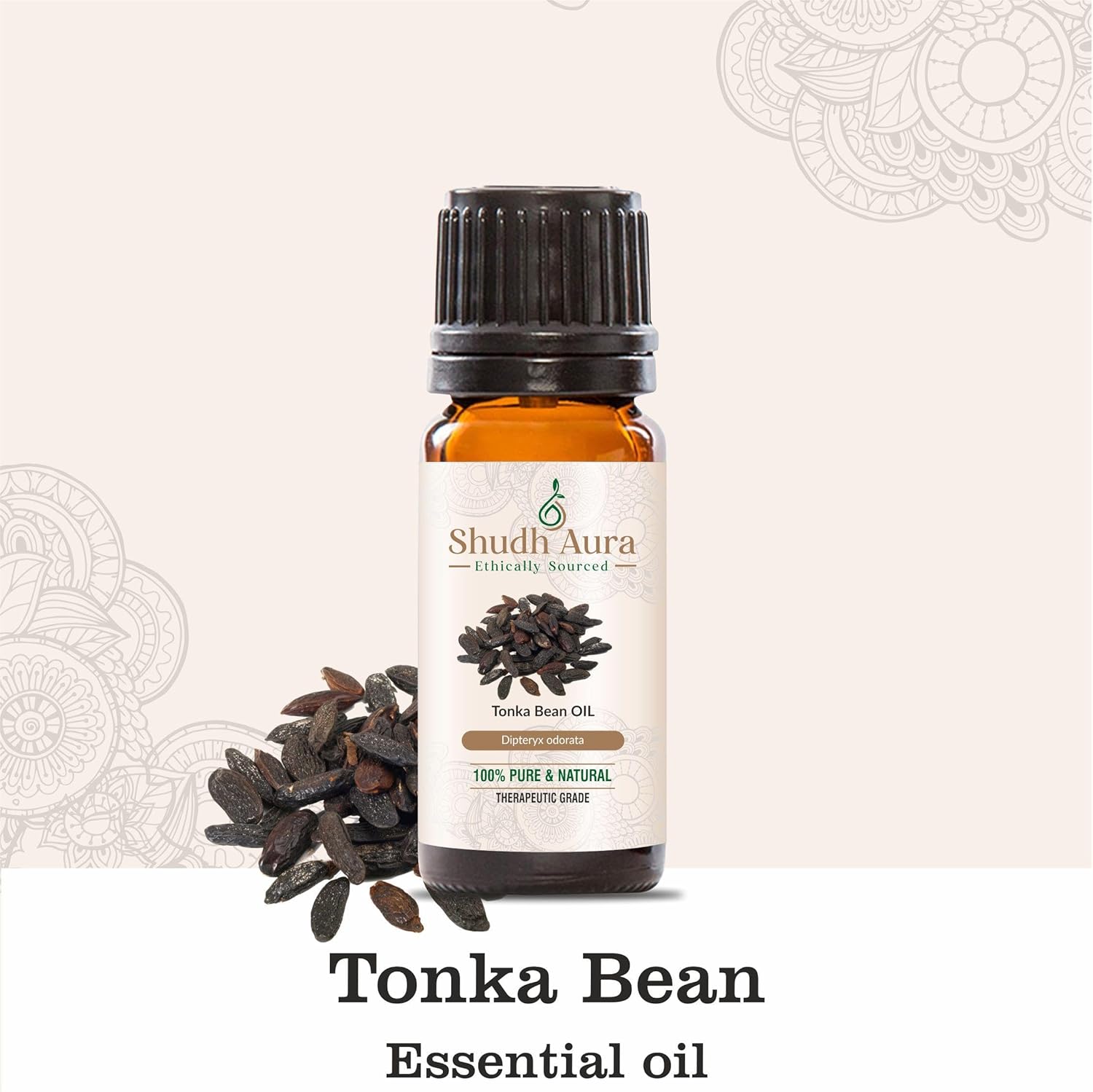 Tonka Bean Absolute Essential Oil | 100% Pure, Undiluted & Natural | Therapeutic Grade Oils for Aromatherapy & Diffuser (5ML)