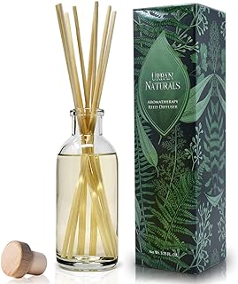 Urban Naturals Vanilla Lime Reed Diffuser Set | Made with Essential Oils | Zesty Lime, Sweet Cane Sugar, Creamy Vanilla & Tonka Bean | Made in the USA