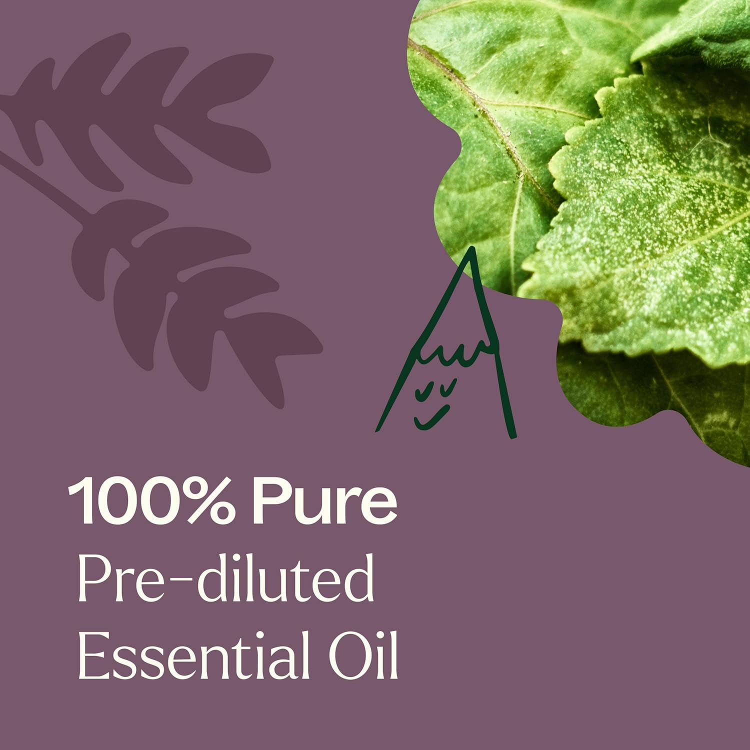 Plant Therapy Aged Dark Patchouli Essential Oil Roll-On 10 mL (1/3 oz) Pre-Diluted in Fractionated Coconut Oil, Long-Lasting, Personal Fragrance,100% Pure, Natural, Expertly Aged for Depth, Rich Aroma