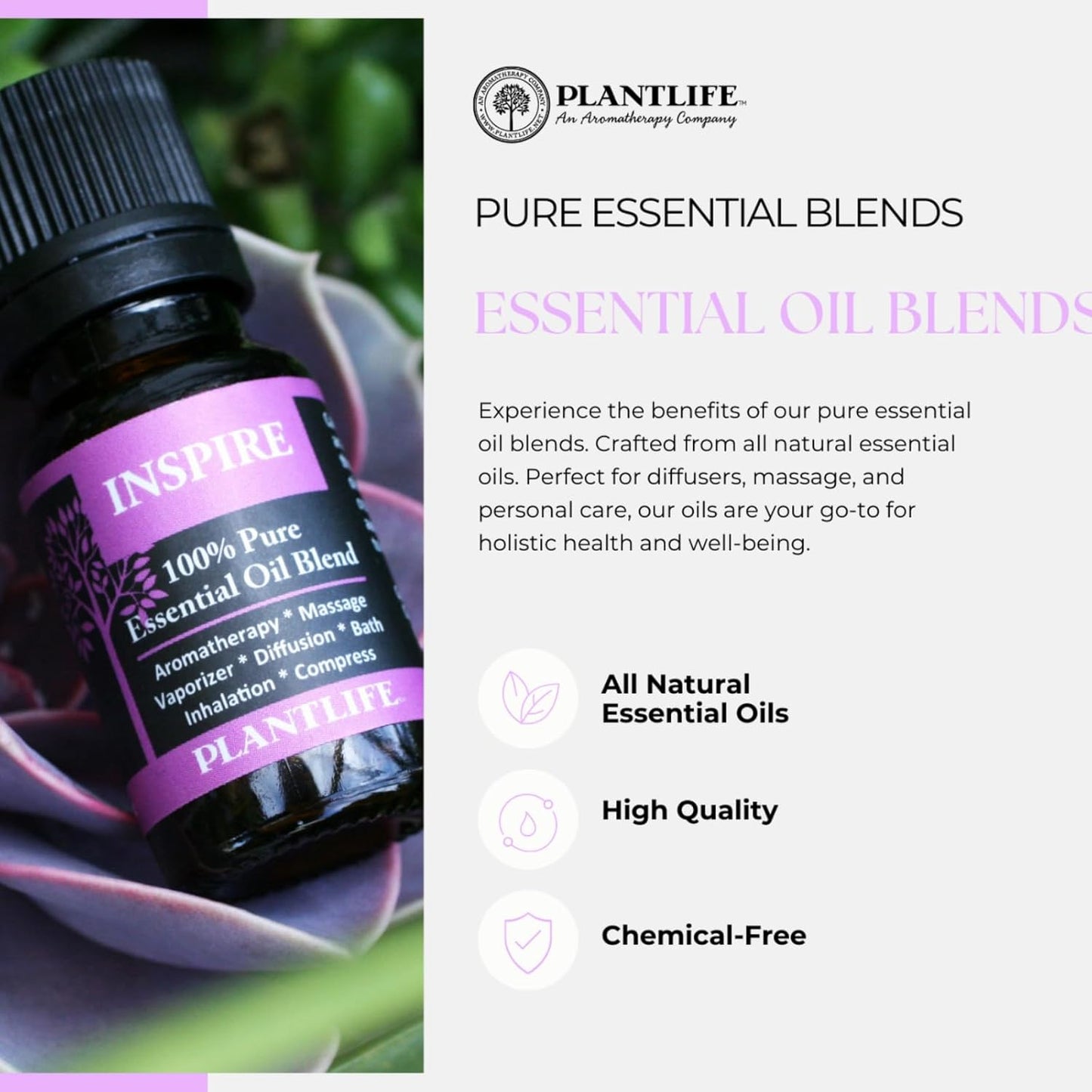 Plantlife Spa Aromatherapy Essential Oil Blend - Straight from The Plant 100% Pure Therapeutic Grade - No Additives or Fillers - Made in California 10 ml