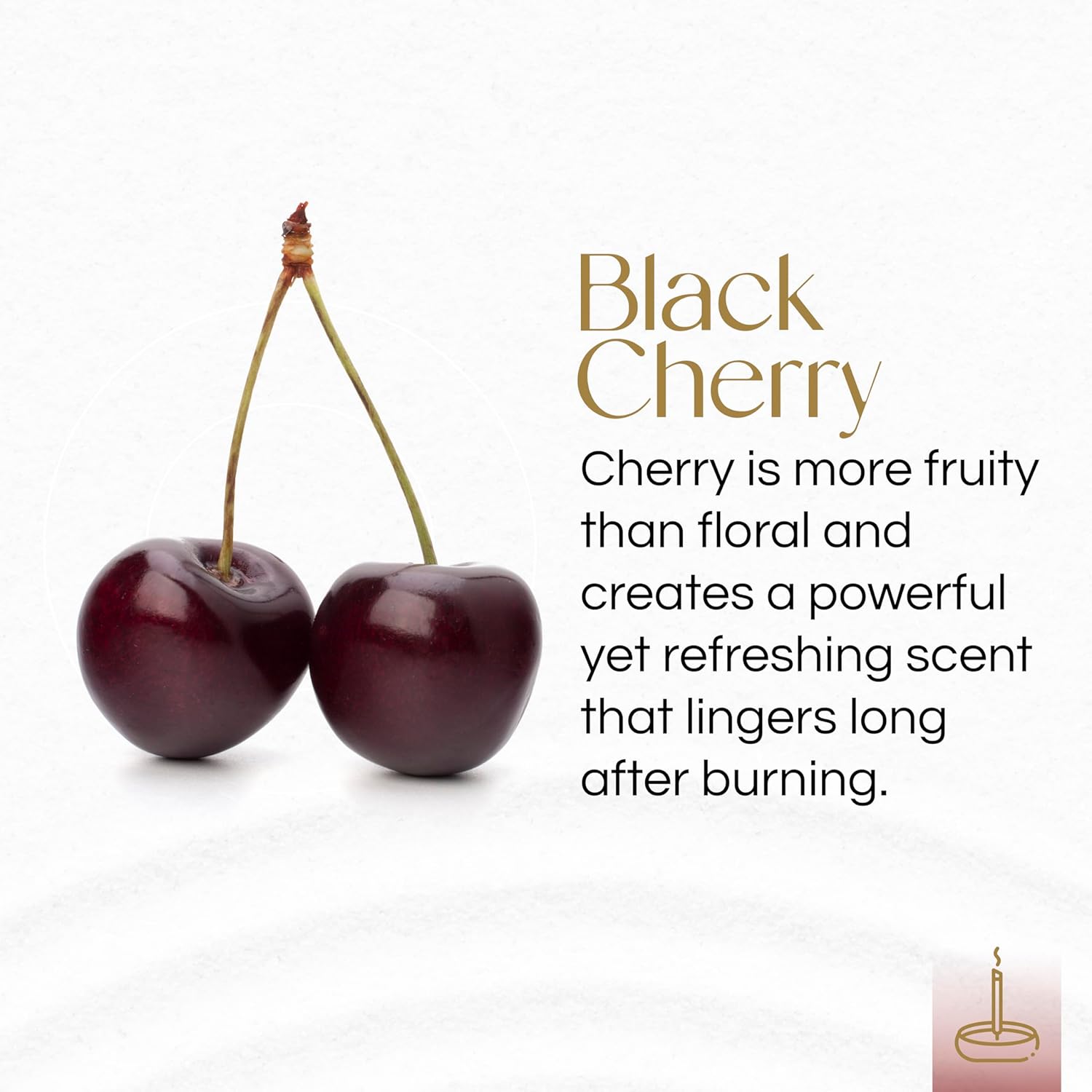Gonesh - Extra Rich Scented Incense Sticks - Non-Toxic 10” Slow Burn Aromatic Sticks - Black Cherry - 100 Total - 5 Packs of 20