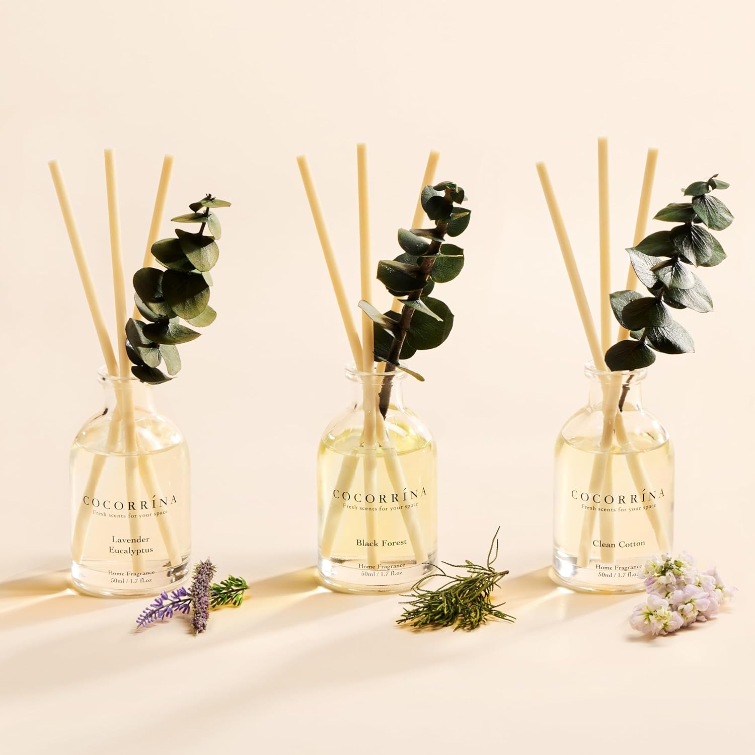 COCORRÍNA Eucalyptus Reed Diffuser Set of 3 - Lavender Eucalyptus, Black Forest, Clean Cotton Scents, 1.7 fl oz Each, Total 5.1 oz, Scented Oil Diffusers for Home & Office﻿