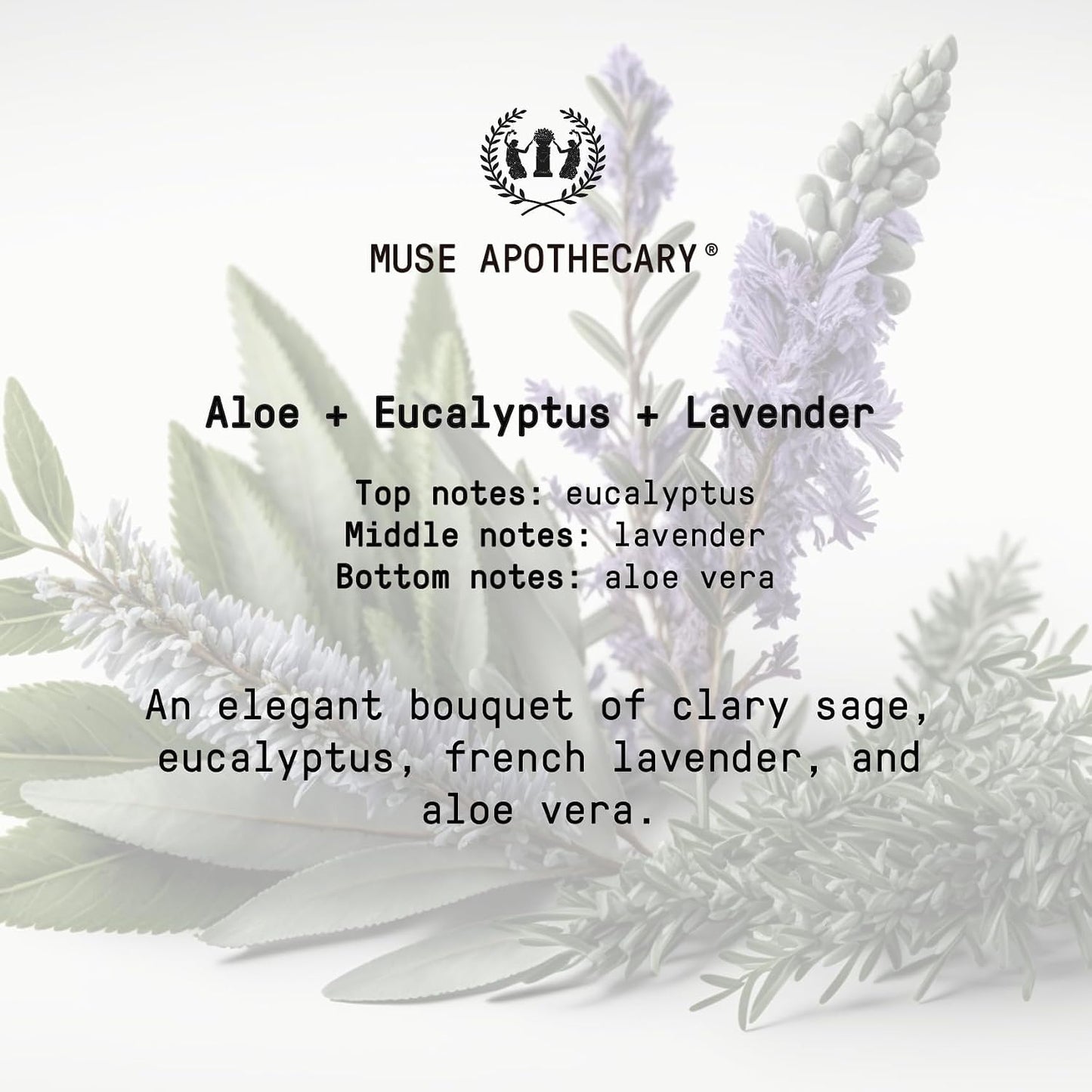Muse Apothecary Flush Ritual - Aromatic & Refreshing Toilet Spray, Use Before You Go, 2 oz, Infused with Natural Essential Oils - Aloe + Eucalyptus + Lavender, Pack of 3