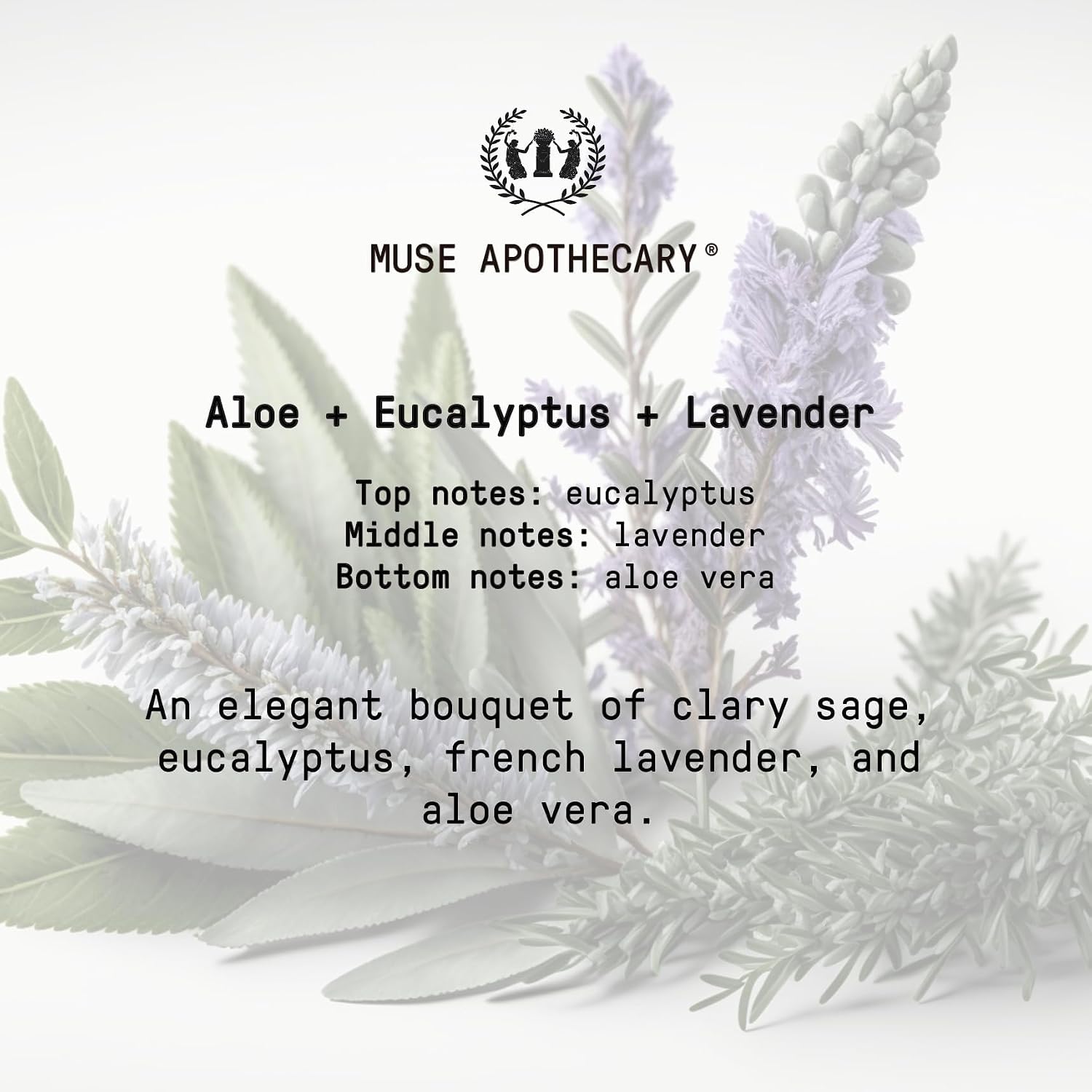 Muse Apothecary Flush Ritual - Aromatic & Refreshing Toilet Spray, Use Before You Go, 2 oz, Infused with Natural Essential Oils - Aloe + Eucalyptus + Lavender, Pack of 3