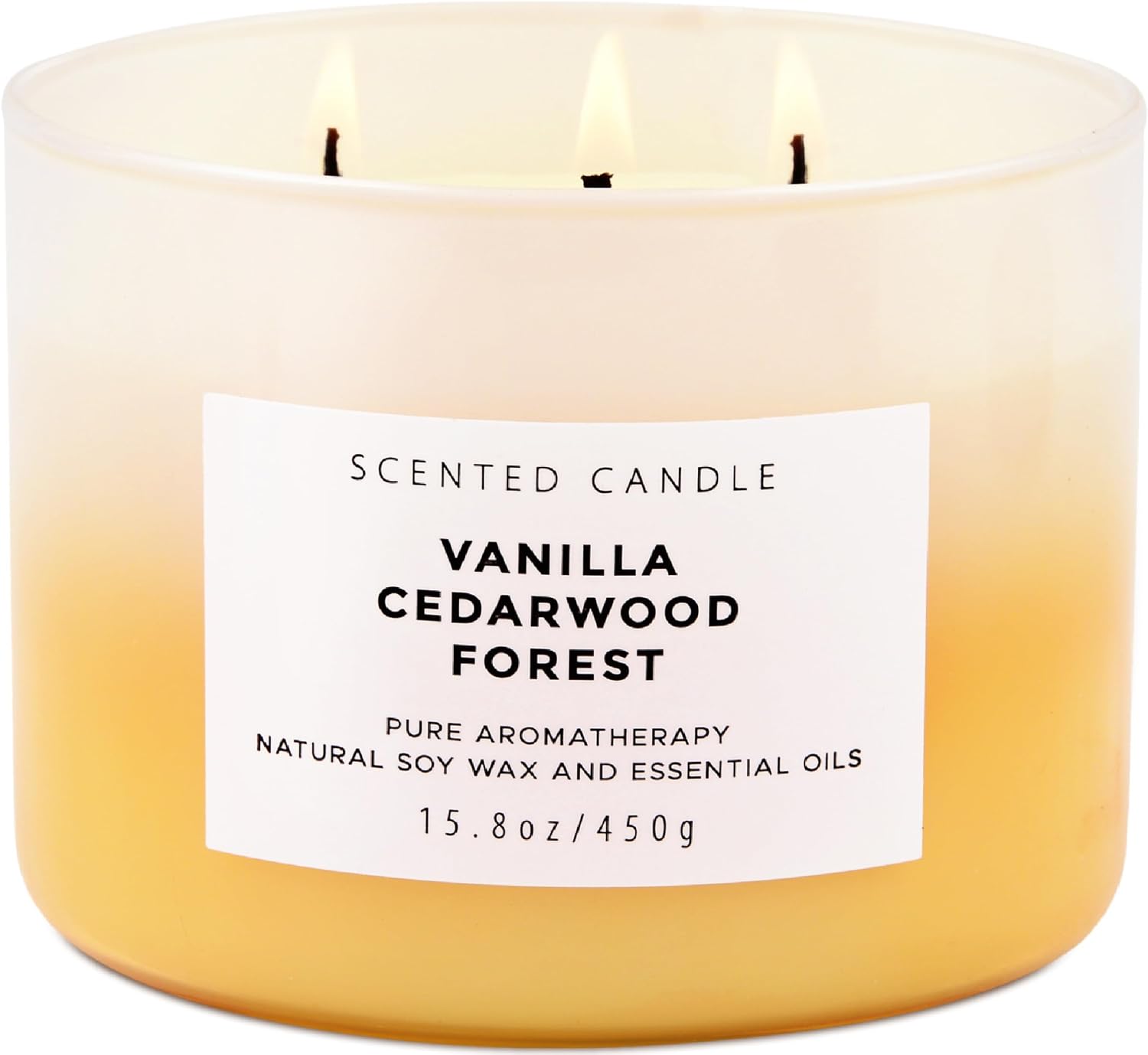 Vanilla Cedarwood Forest Candle | 3-Wick Large Scented Soy Candles 15.8 oz | Aromatherapy Vanilla Candle for Women & Men | Warm Woody Cozy Home Scent | Long Lasting Clean Burn
