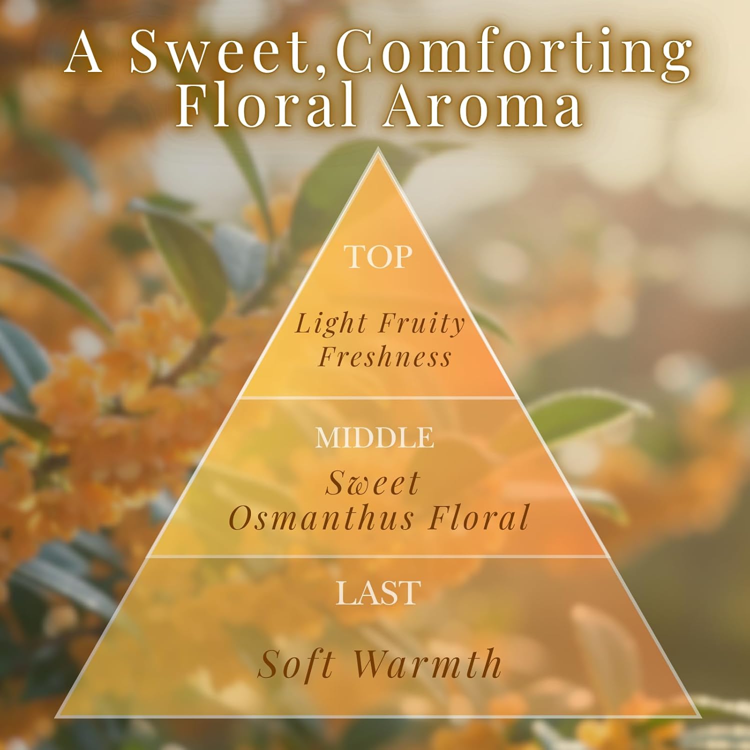 Osmanthus Premium Japanese Incense Sticks 60sticks Coreless Low Smoke Natural Charcoal Free Non Toxic Aromatherapy Meditation Calming Stress Relief Relaxation Yoga TOMORI
