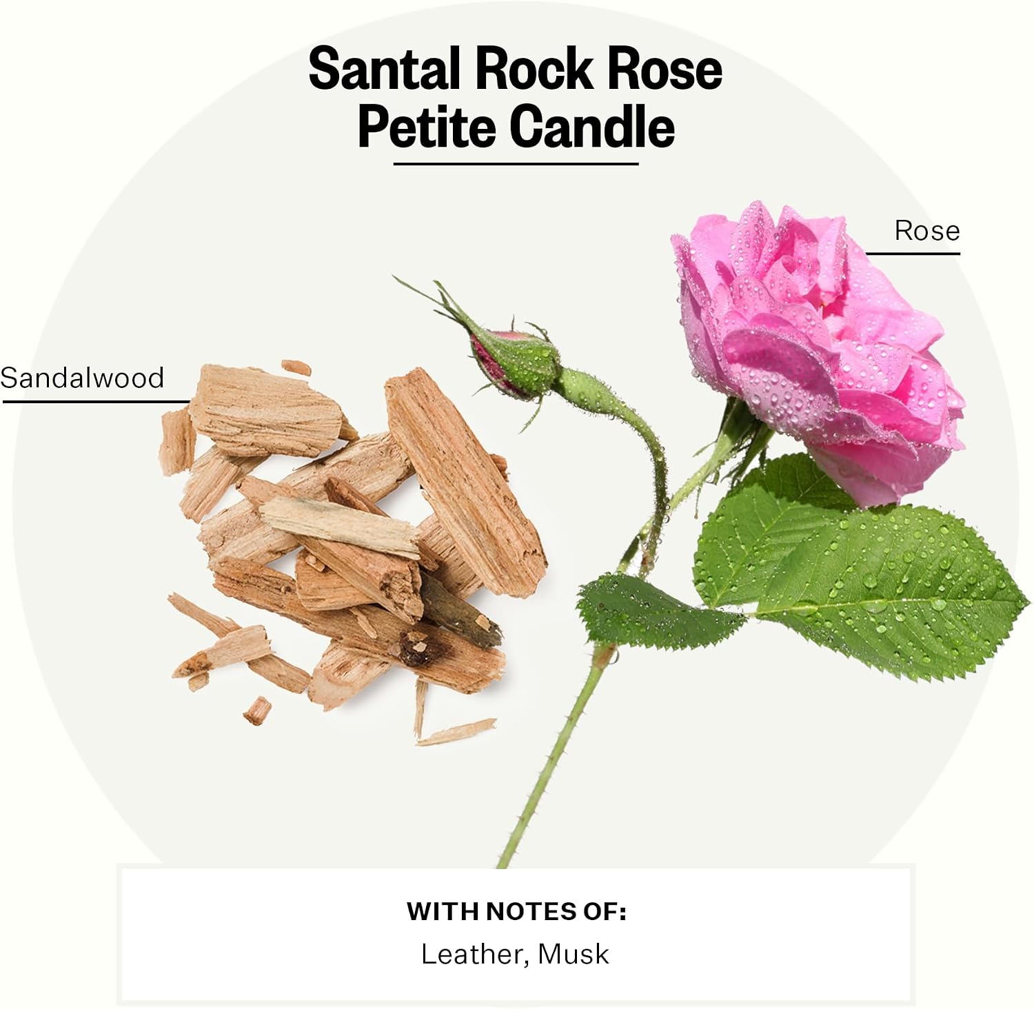 Apotheke Luxury Scented Candles for Home, Santal Rock Rose - Petite Aromatherapy Jar Candle with Soy Wax Blend