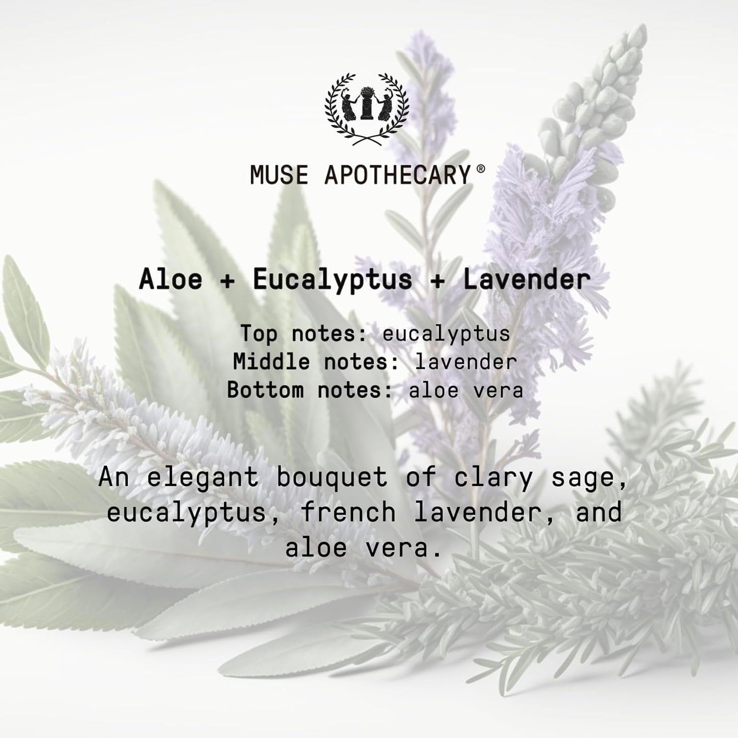 Muse Apothecary Flush Ritual - Aromatic & Refreshing Toilet Spray, Use Before You Go, 2 oz, Infused with Natural Essential Oils - Aloe + Eucalyptus + Lavender