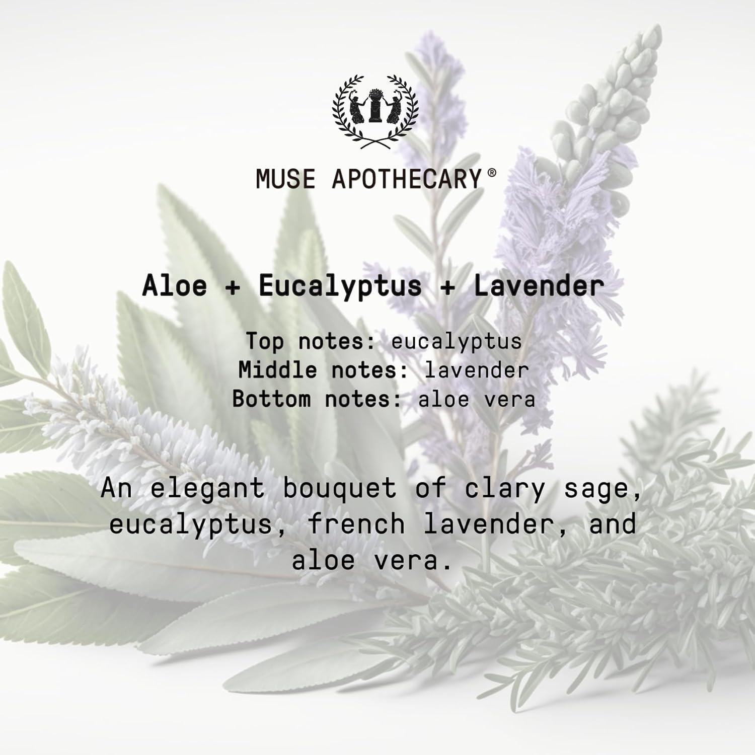 Muse Apothecary Flush Ritual - Aromatic & Refreshing Toilet Spray, Use Before You Go, 2 oz, Infused with Natural Essential Oils - Aloe + Eucalyptus + Lavender