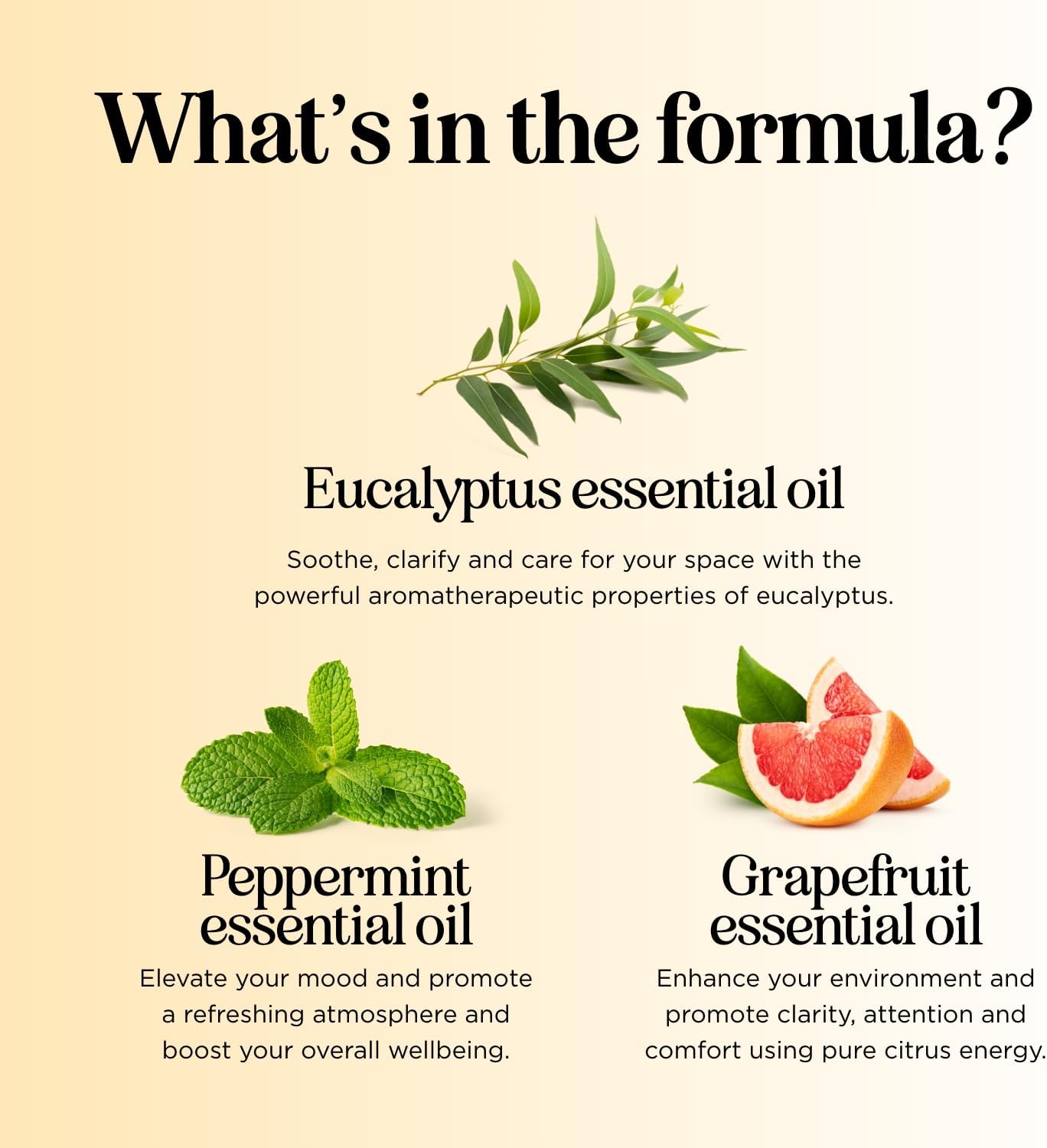 Focus Essential Oil Roll On - Aromatherapy Essential Oil Roller with Invigorating Pure Citrus and Mint Oils - Attention and Focus Essential Oil Blend with Eucalyptus Peppermint & Grapefruit (3 Pack)