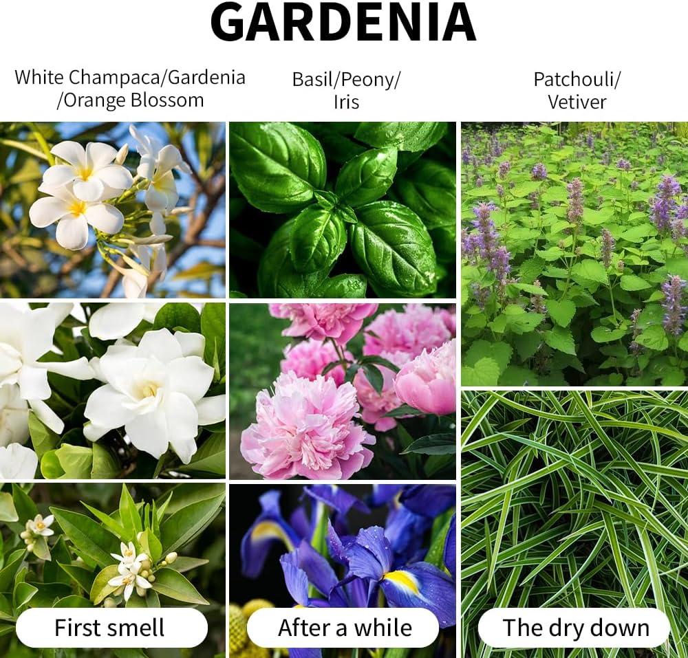 Gardenia Scented Candle 7oz Soy Wax Jar Candle Long Burning Aromatherapy Candle for Home Bedroom Gift for Women Men Housewarming New Home Gift