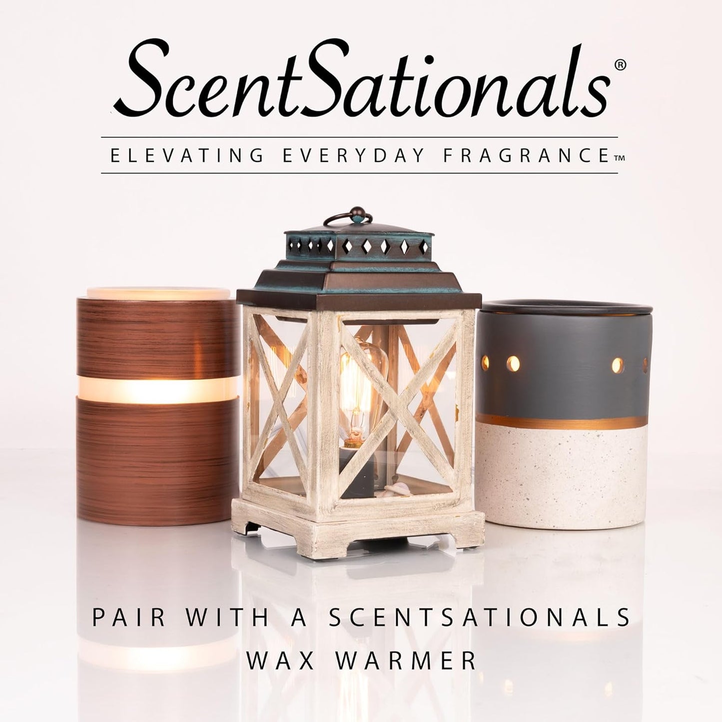 ScentSationals Illusion Scented Wax Melts - Cedarwood, Marine, & Citrus, 10oz (24 Cubes)