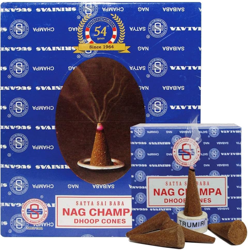 Nag Champa Incense Cones and Cone Incense Burner Bundle Insence Insense Satya Incense
