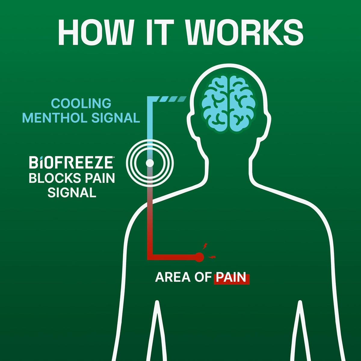 Biofreeze Pain Relief Roll On, Cooling Menthol Relief, 3 FL OZ (3 Pack)