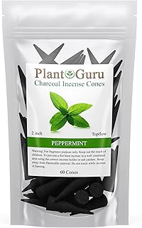 Peppermint Charcoal Incense Cones 2" TOPFLOW - 60 Pack Bulk - Natural Scented Cones Handmade Hand Dipped