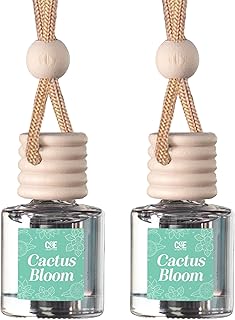 CANDECraftCo Car Air Hanging Fragrance Oil, Car Auto Freshener for Essential Oils, Scents Fragrance Aromatherapy Automobile Diffuser, Long Lasting (Cactus Bloom)