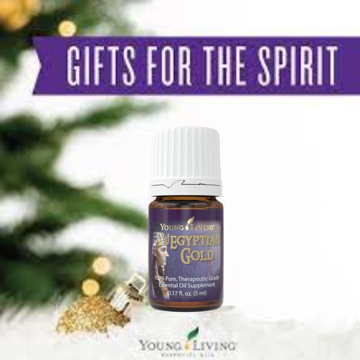 Young Living - Egyptian Gold Essential Oil 5 ml | Ancient Biblical Oils | Aromatic Devotion Blend | Exotic Musky Aroma | Spiritual Aromatherapy for Meditation & Relaxation