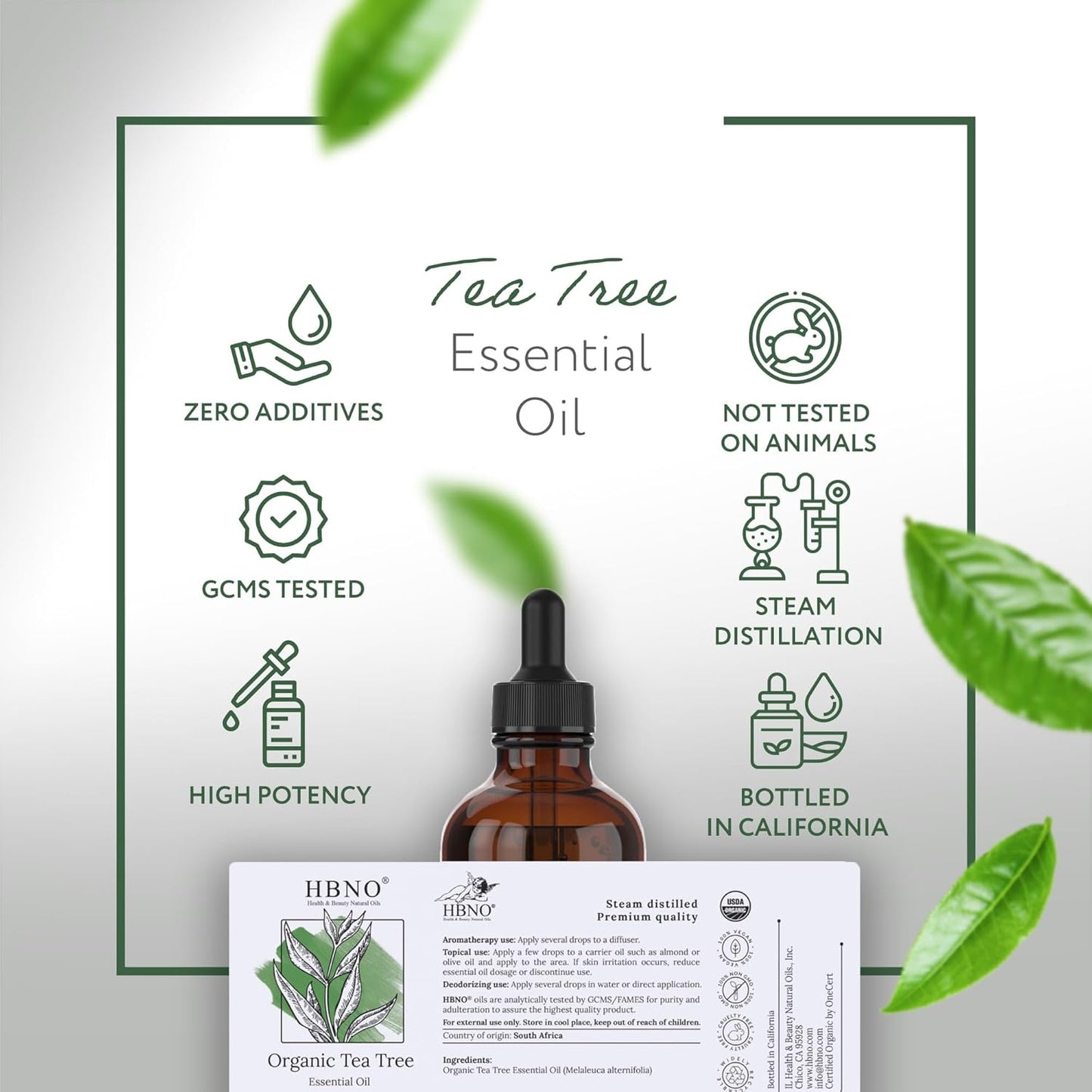 HBNO California Bottled Organic Tea Tree Oil for Skin & Hair - 4 fl oz (120ml) - USDA Certified Organic Tea Tree Oil for Aromatherapy