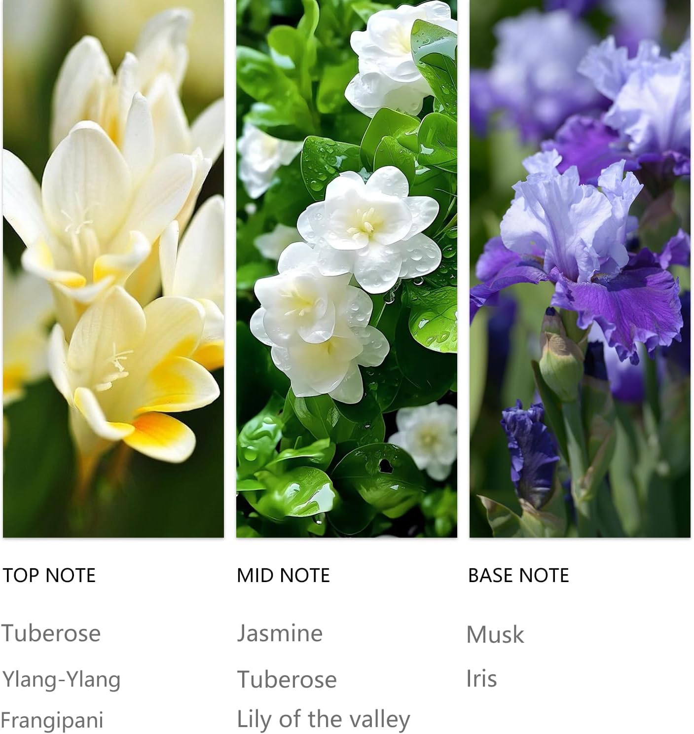 20ml Ylang Ylang Waterless Essential Oil, Sensual Tuberose Jasmine Luxury Hotel Scent for Diffusser, Romantic Aromatherapy Oil for Home, Ofice, Car & Spa