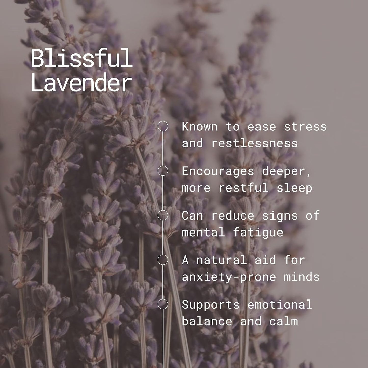 Blissful Lavender Incense Sticks – 100g | Handmade, Toxin-Free, Long-Lasting Fragrance | Natural Resin Aroma for Meditation, Yoga & Home Use