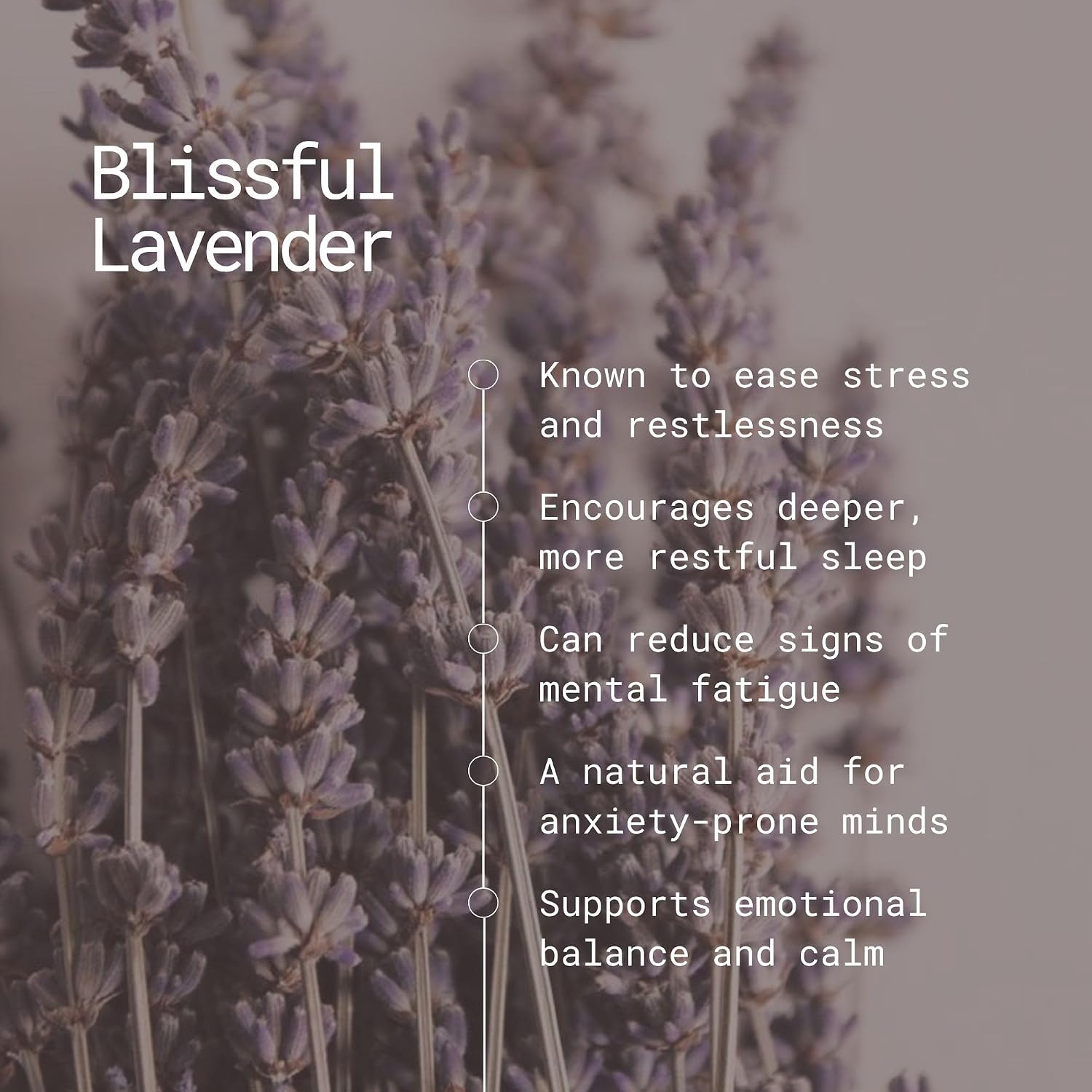 Blissful Lavender Incense Sticks – 100g | Handmade, Toxin-Free, Long-Lasting Fragrance | Natural Resin Aroma for Meditation, Yoga & Home Use