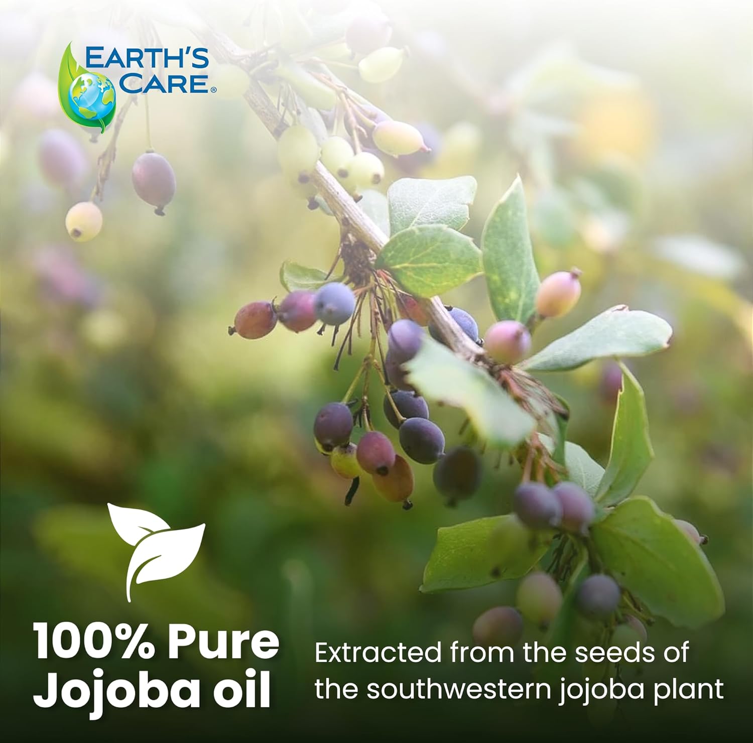 Earth’s Care Jojoba Oil - 100% Pure Jojoba Oil for Hair, Skin and Nails - Cold Pressed - Nourishing Natural Moisturizer - 8 FL OZ