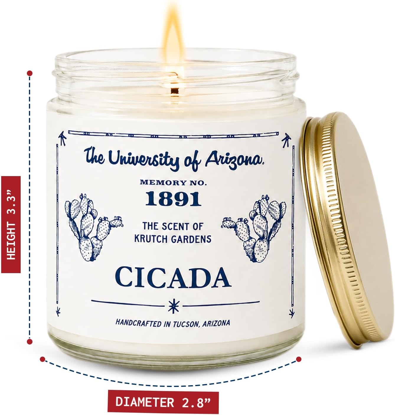 CICADA Succulent Garden Scented Candle Memory No.1891, University of Arizona Inspired Coconut-Soy Blend Wax, Cotton Wick, Cactus Sap Garden Greens Desert Soil Aroma, Hand-Poured Arizona Home Fragrance