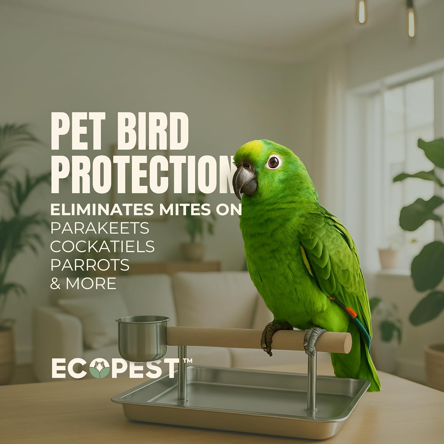 Mite Spray – Natural Killer for Dust, Bird, Spider & Other Mites | Bedding & Furniture-Safe | Treatment for Chickens, Poultry, Dogs, Cats, Reptiles & Other Pets | Indoor & Outdoor (22 oz)