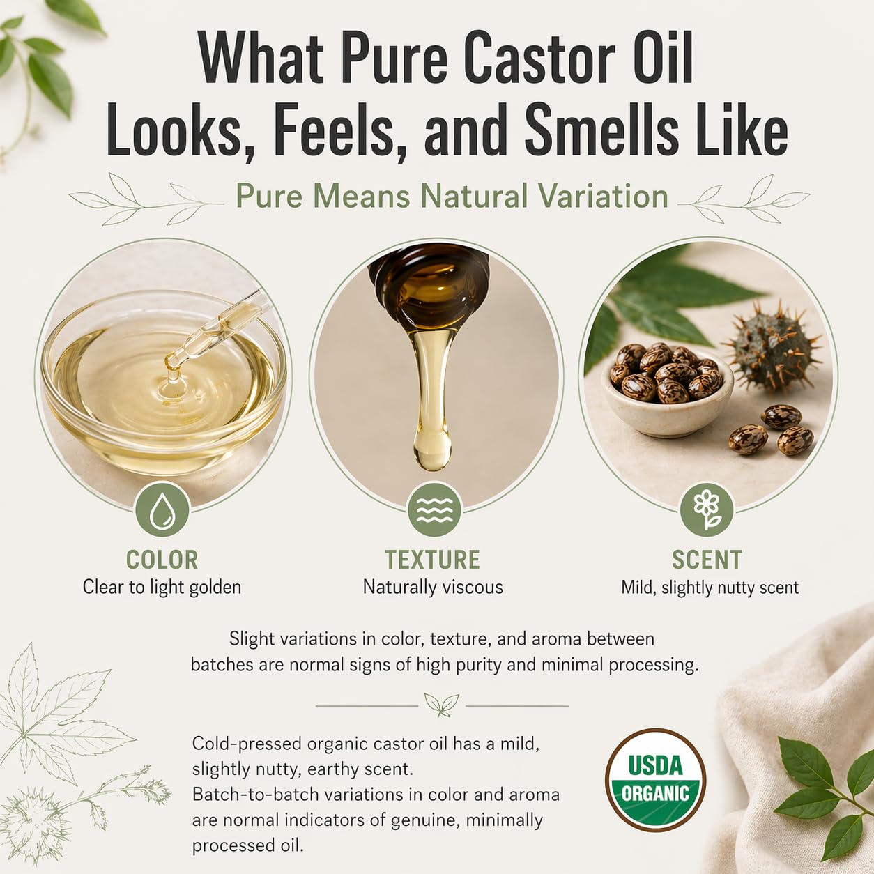 J MAC BOTANICALS Organic Castor Oil Cold Pressed in Amber Glass Bottle (16 oz) USDA Certified, Hexane Free - Moisturizing Oil for Hair, Skin, Face, Eyelashes, Brows, Nails, and Castor Wraps