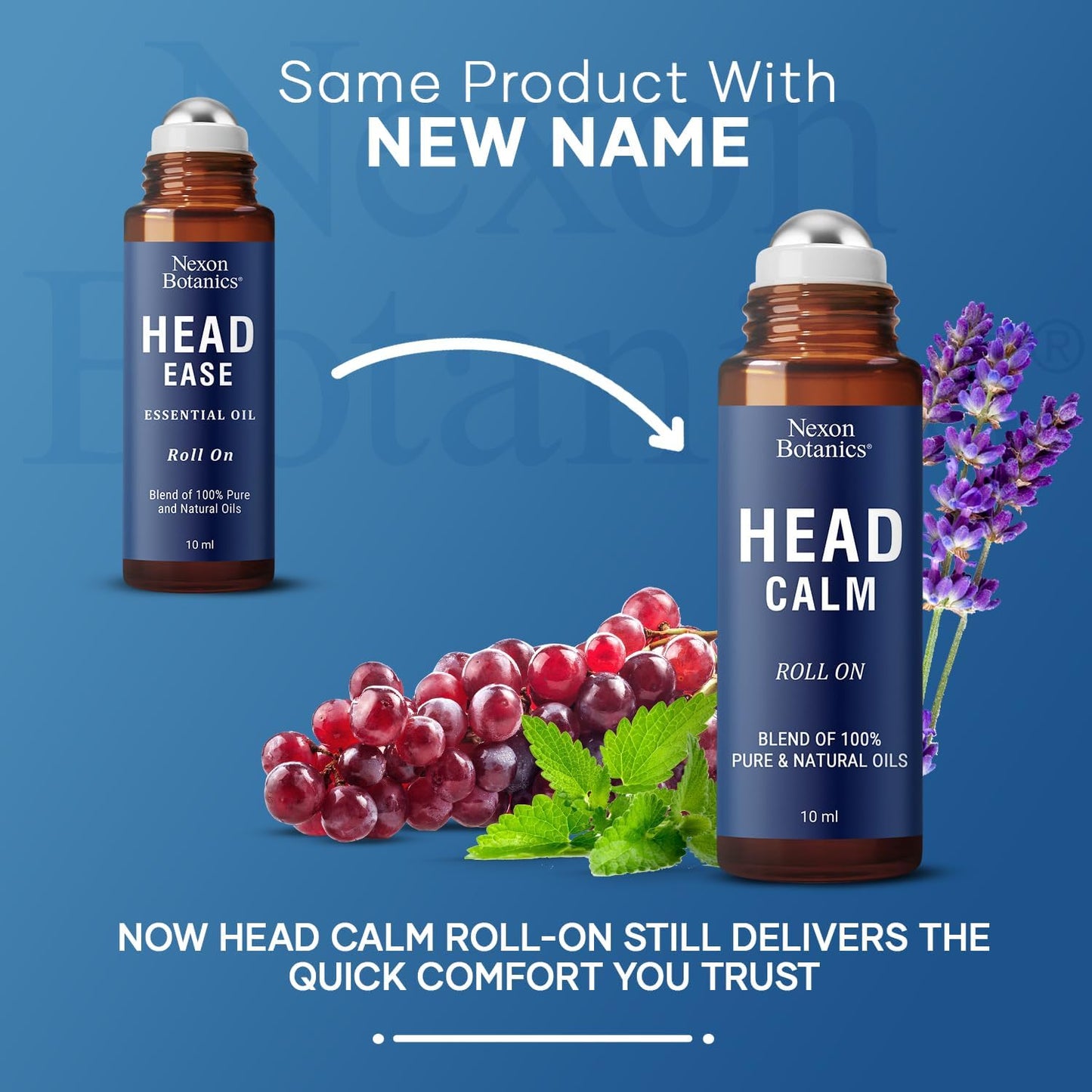 Head Calm Essential Oil Roll-On 10 ml - Soothing Blend of Pure & Natural Essential Oils - Roller Ball for Migraine & Headache Relief - Nexon Botanics