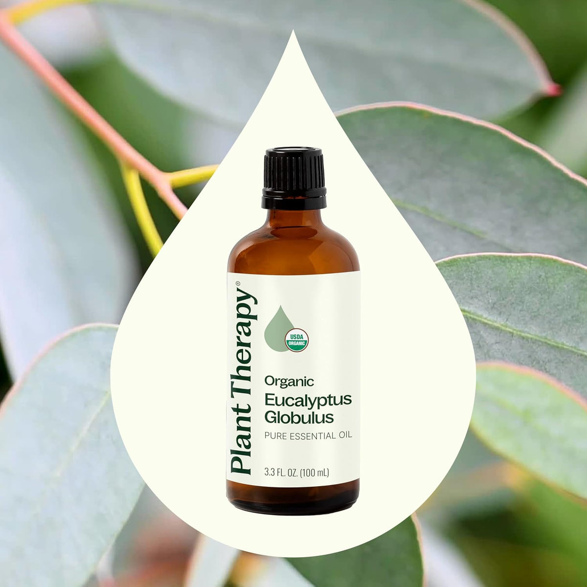 Plant Therapy Organic Eucalyptus Globulus Essential Oils 100 mL (3.3 oz)