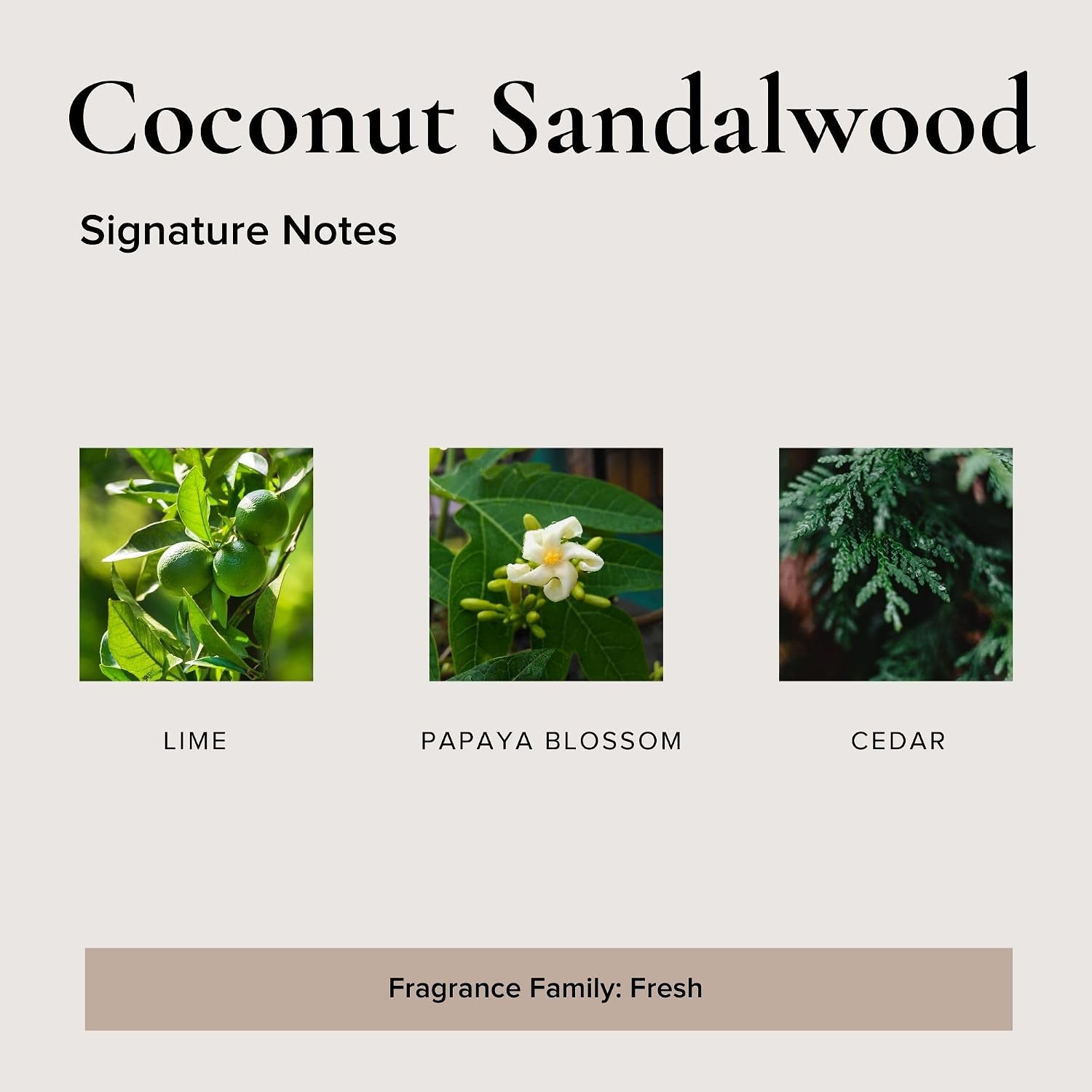 BROKEN TOP Organic Linen & Room Spray (Coconut Sandalwood)