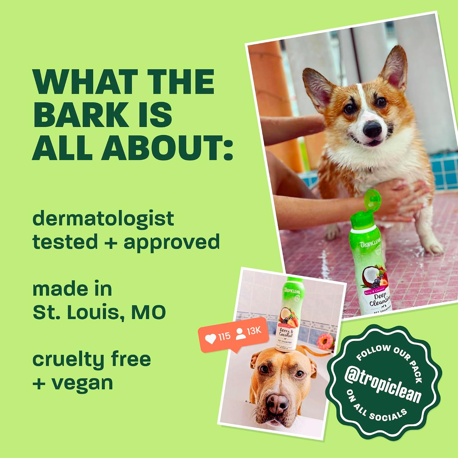 TropiClean Dog Perfume, Papaya Scented Dog Deodorizing Spray, 3X Long-Lasting Scent, After Bath Cologne & Detangling Spray with Vitamin E, 10oz.