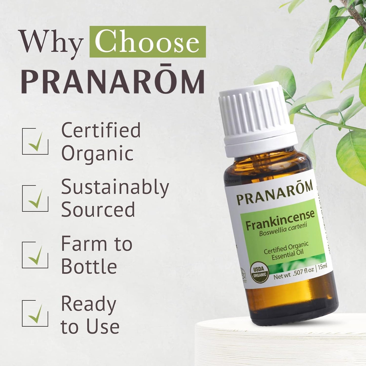 Pranarom USDA Certified Organic Frankincense Essential Oil (15ml), 100% Pure Undiluted Therapeutic Grade from Somalia for Aromatherapy, Diffuser, Skincare, Relaxation, Meditation