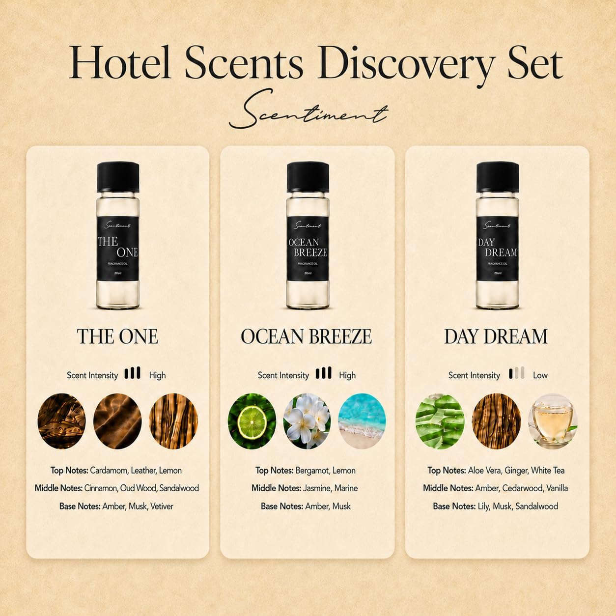 Scentiment Hotel Scents Discovery Set – Day Dream, The One & Ocean Breeze | Fresh, Woody & Marine Fragrance Oils | Luxury Home Scent Kit for Cold Air Diffusers 3 x 0.68 fl oz (20 mL)