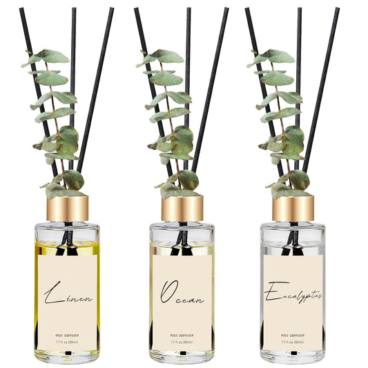Reed Diffuser Set of 3