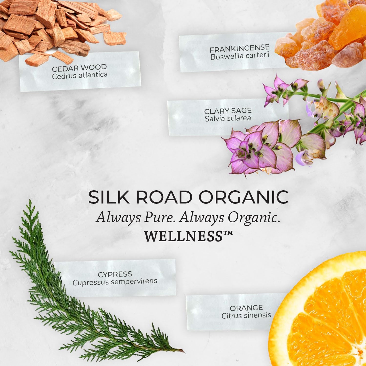 Silk Road Organic Wellness Essential Oil Vitality Blend Roll On for Overall Health, Immunity, Balance, Achy Joints & Muscles – USDA Certified Aromatherpy, 10ml Roller