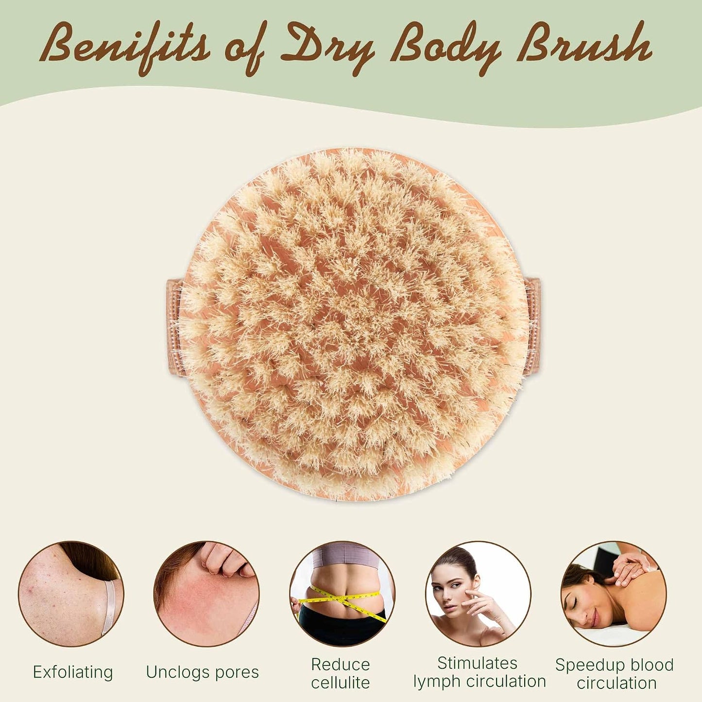 Dry Body Brush Set for Lymphatic Drainage, Round Boar Bristle Dry Brushing Body Brush with Strap, Wood Therapy Kit with Wooden Acupressure Massage Tools for Face Body Gua Sha Sculpting