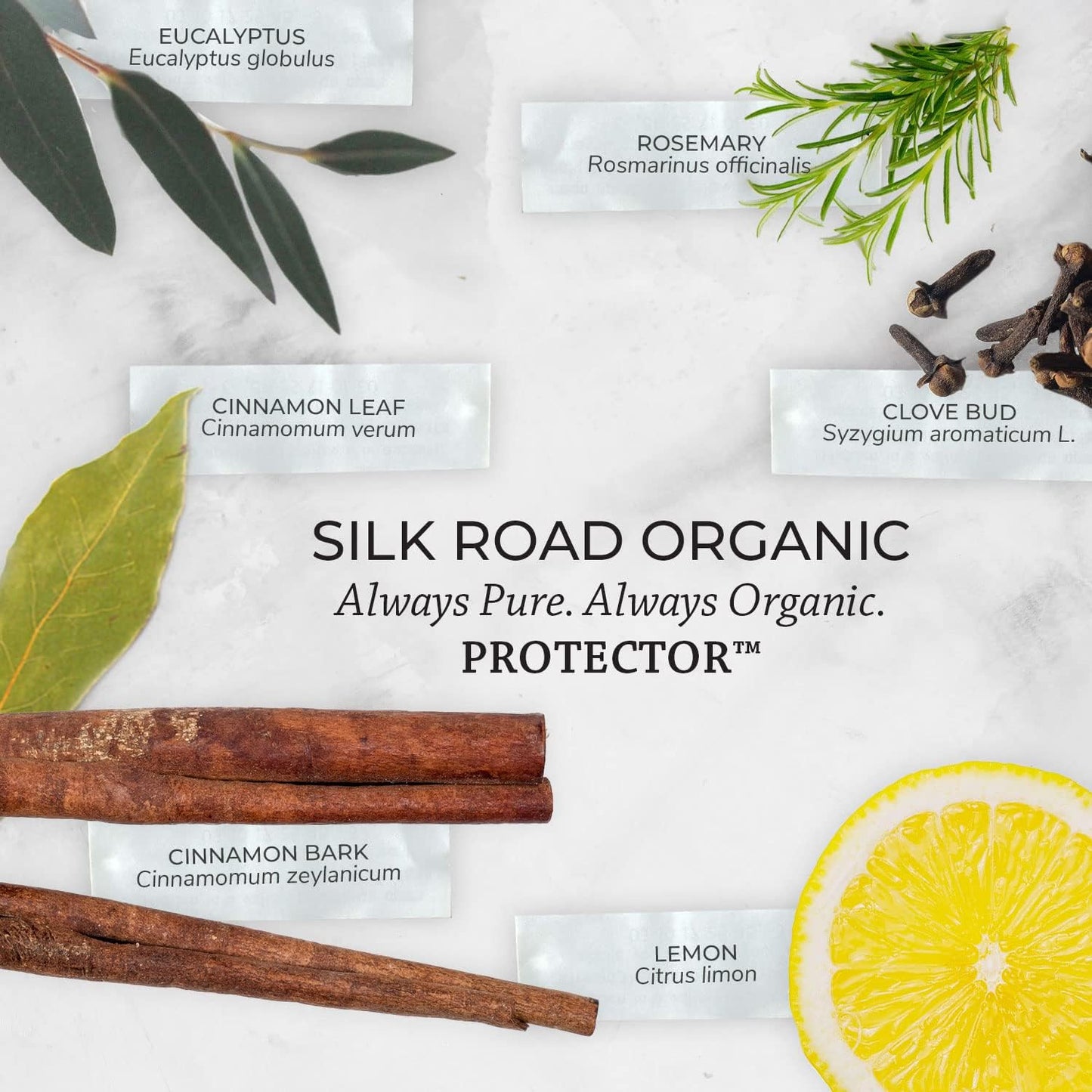 Silk Road Organic Protector - Thieves Essential Oil Purifying Immunity Blend, 100% Pure USDA Certified Clove Bud, Lemon, Cinnamon Bark, Rosemary, Eucalyptus - 10 ml Dropper